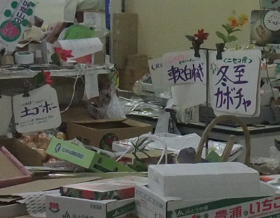 イメージ 6