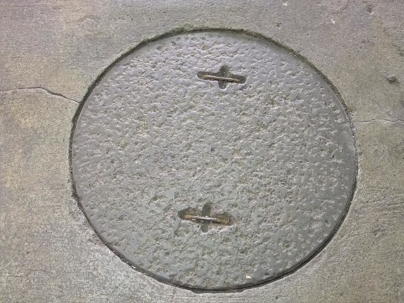 イメージ 5