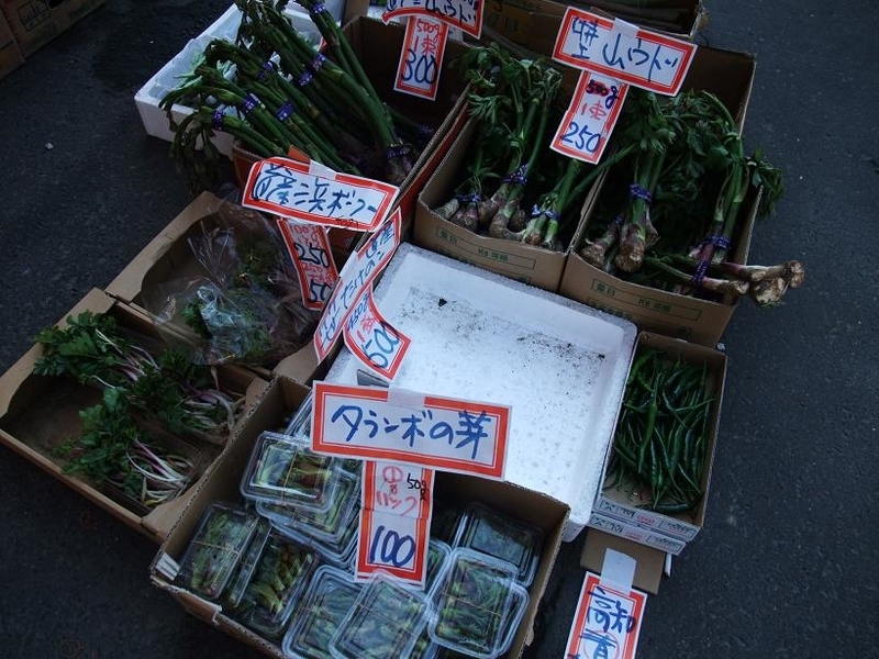 イメージ 2