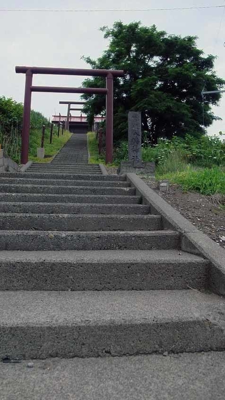 イメージ 13