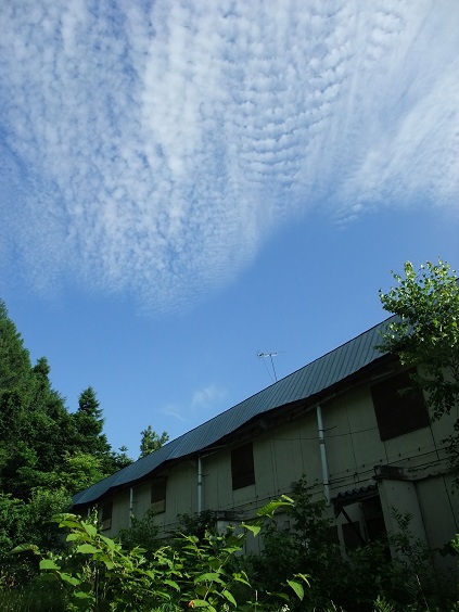 イメージ 12