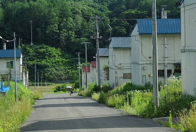 イメージ 7
