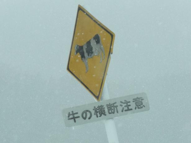 イメージ 18