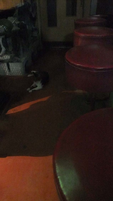 イメージ 8
