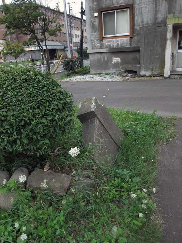 イメージ 47