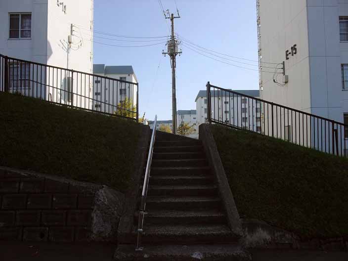 イメージ 10