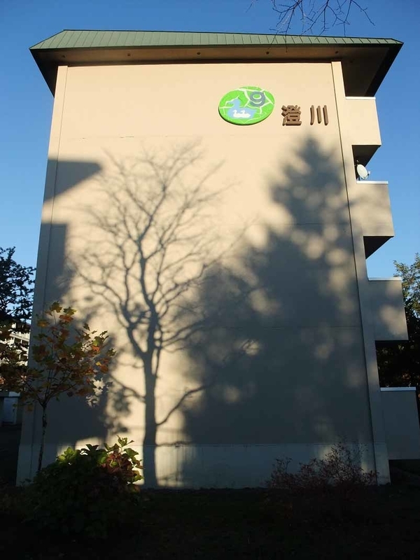 イメージ 12