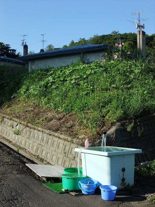 イメージ 2