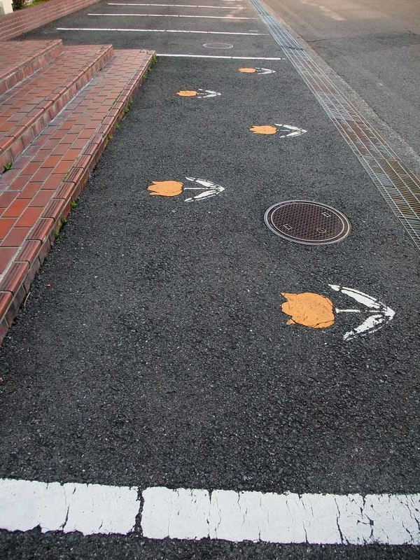 イメージ 11