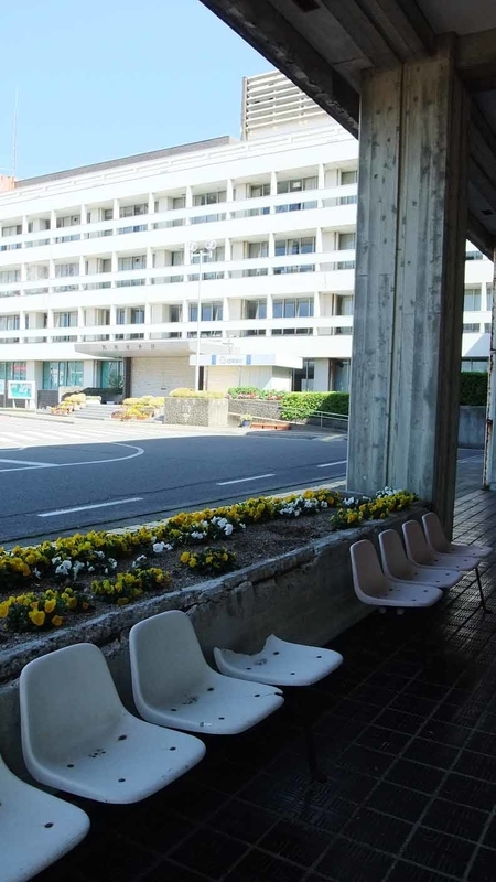 イメージ 7