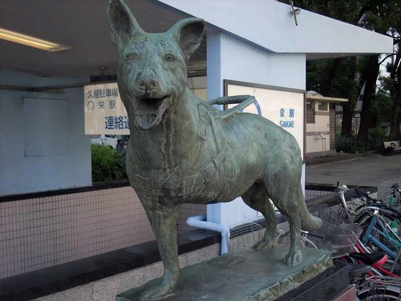 イメージ 12