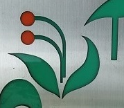 イメージ 6