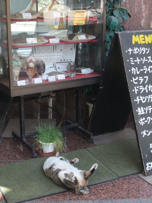 イメージ 3