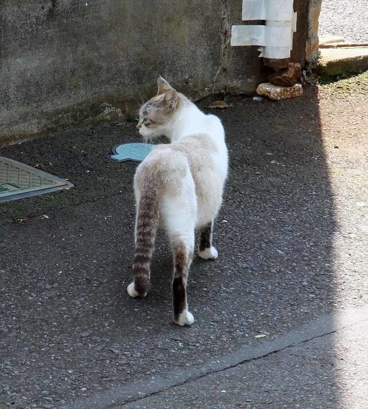 イメージ 6