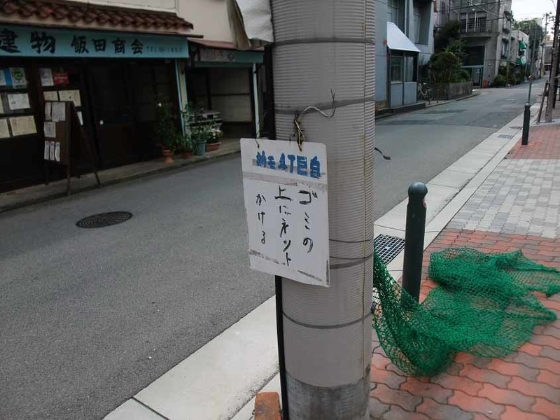 イメージ 9