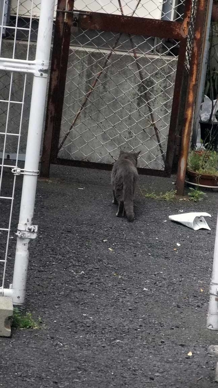 イメージ 10