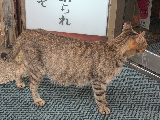 イメージ 3