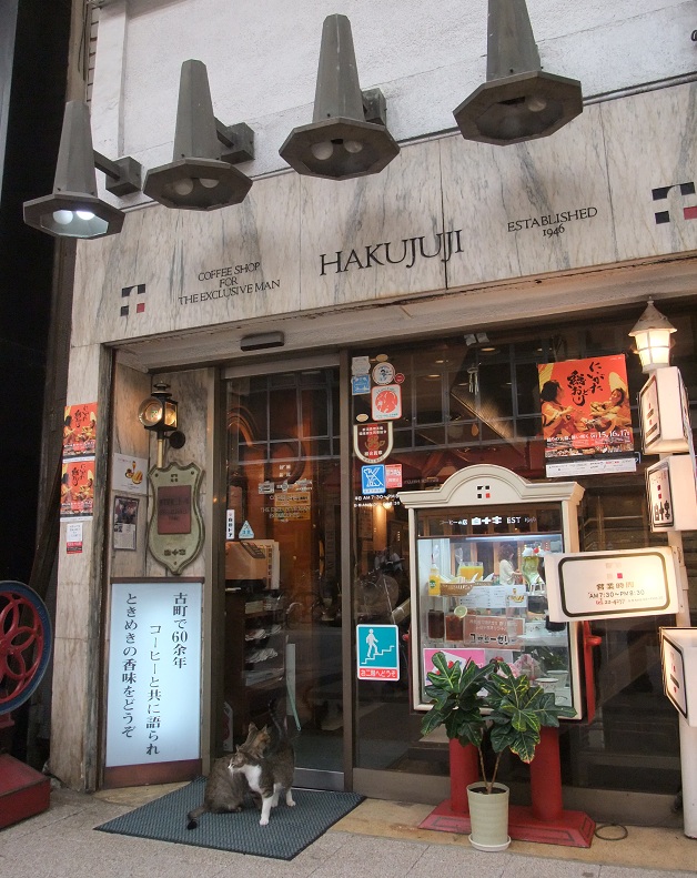 イメージ 6