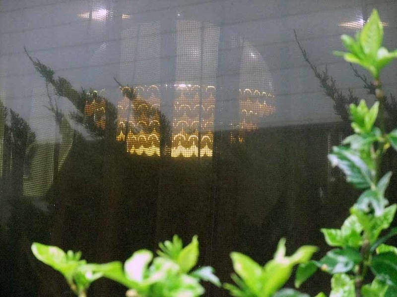 イメージ 6