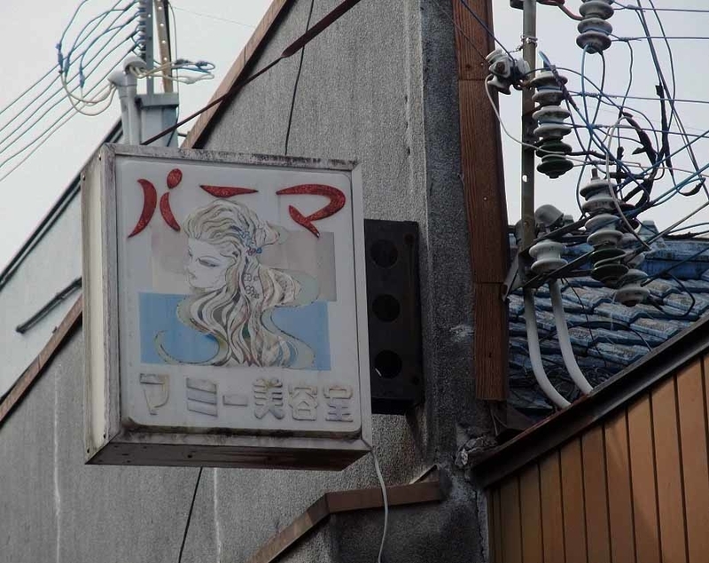 イメージ 7