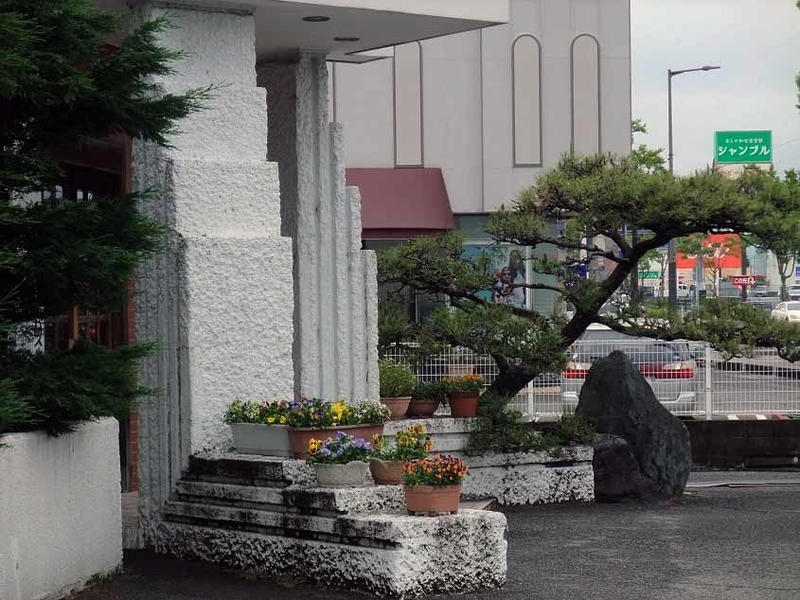 イメージ 6