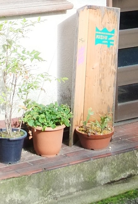 イメージ 4