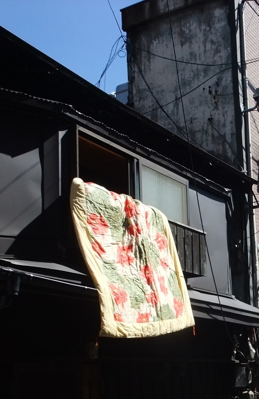 イメージ 10
