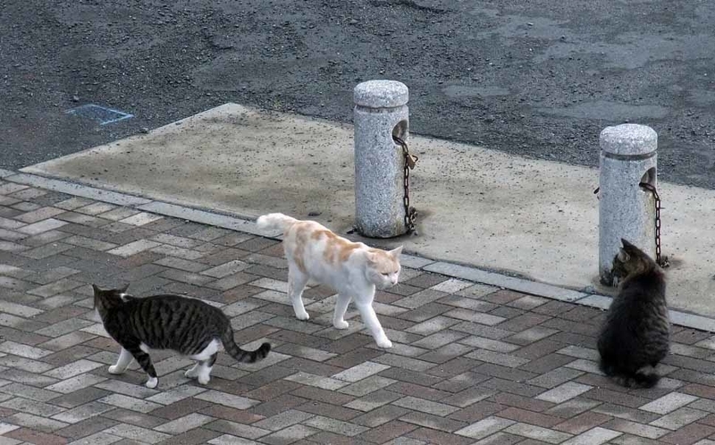 イメージ 3