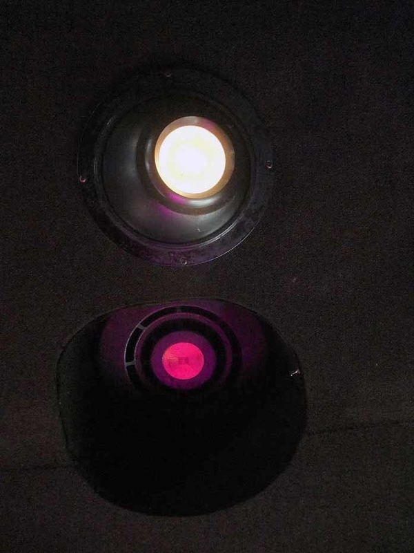 イメージ 7