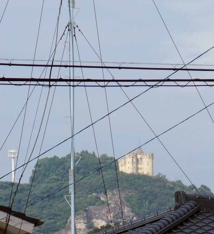 イメージ 3