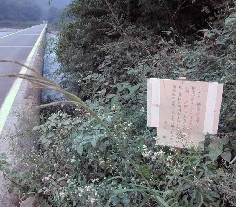 イメージ 6