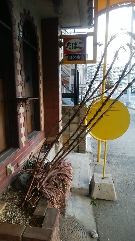 イメージ 28