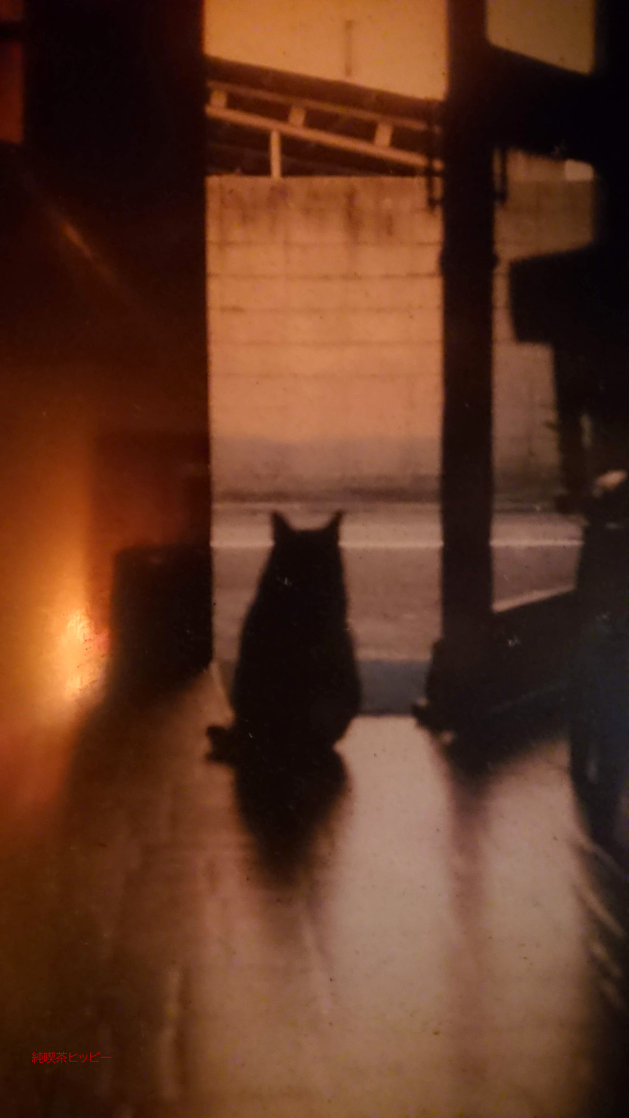 f:id:jkhippie:20200423202058j:plain f:id:jkhippie:20200423202058j:plain