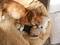 f:id:jkondo:20060312153123j:image:small