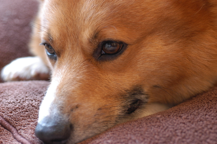 f:id:jkondo:20060702141744j:image