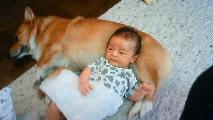 f:id:jkondo:20080909155200:image