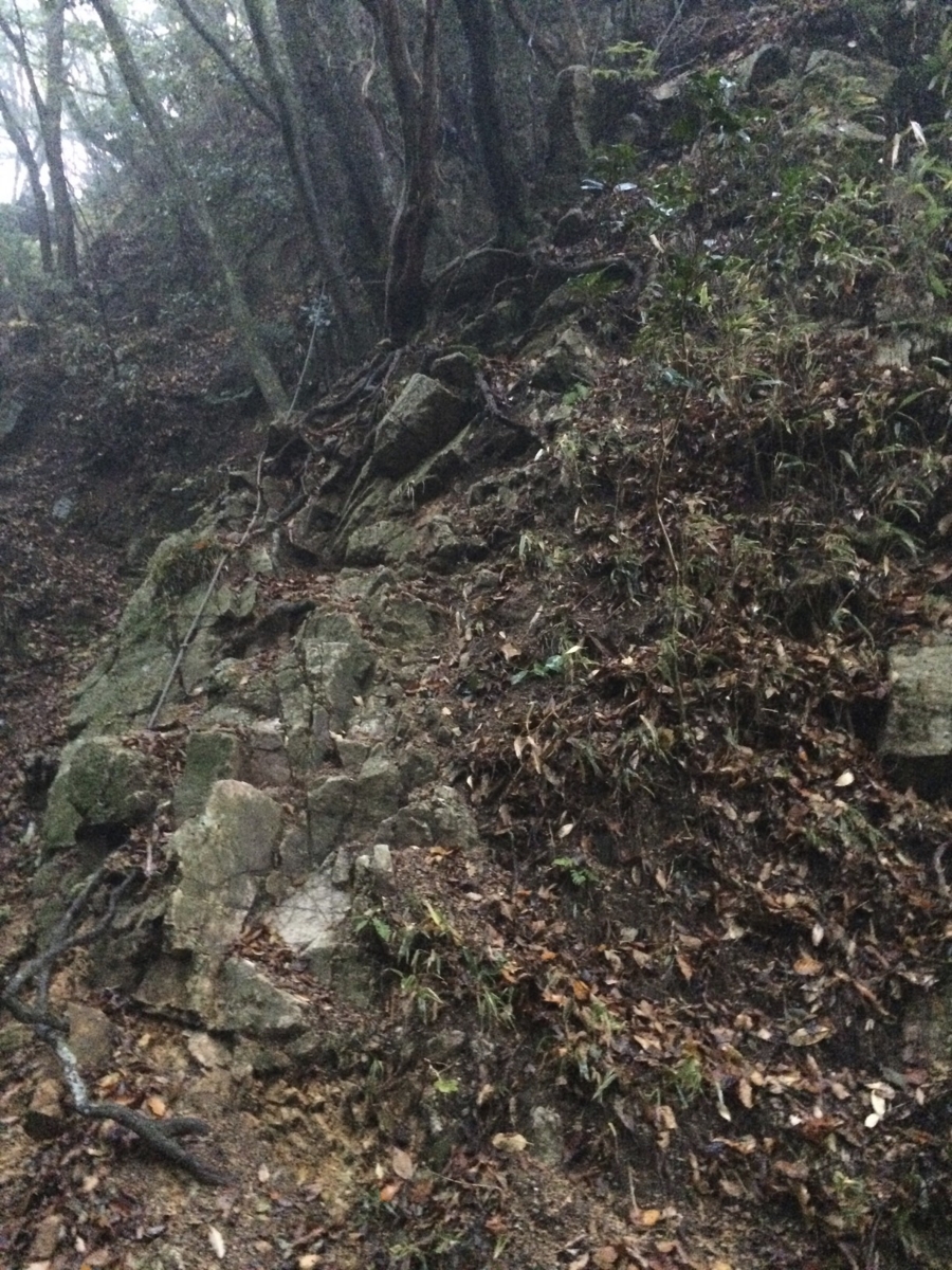 f:id:jkondo:20151103062255j:plain f:id:jkondo:20151103062255j:plain