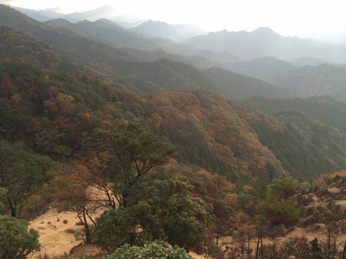 f:id:jkondo:20151103072006j:plain f:id:jkondo:20151103072006j:plain