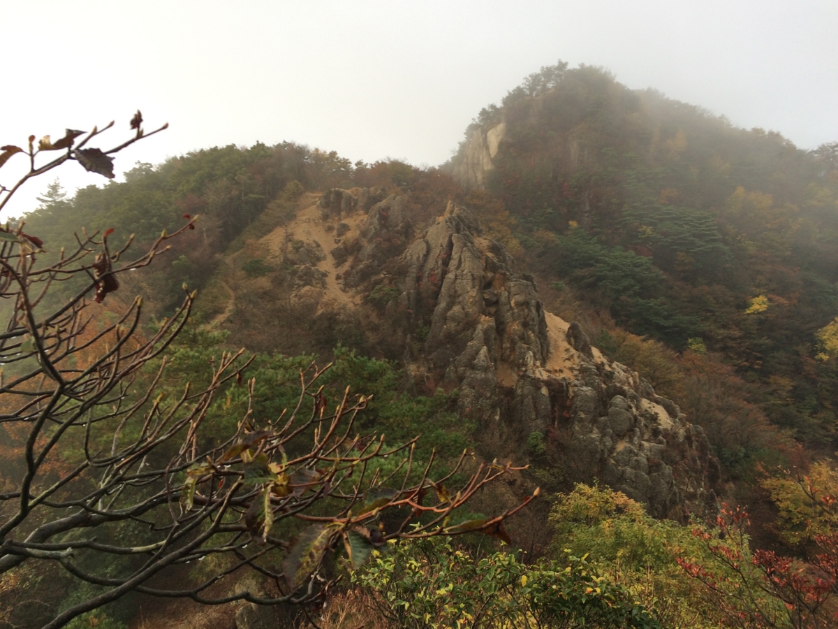 f:id:jkondo:20151103074041j:plain f:id:jkondo:20151103074041j:plain