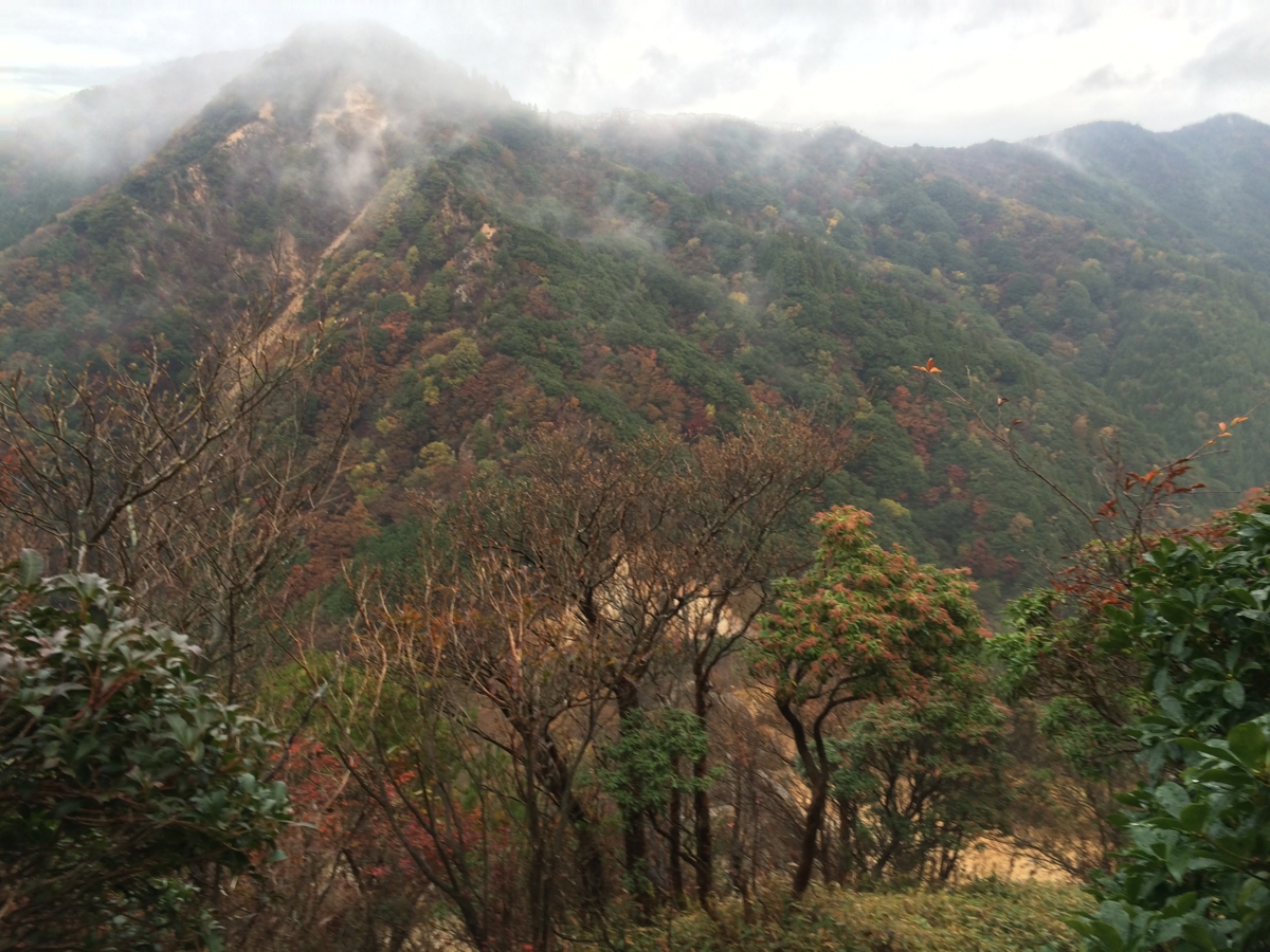 f:id:jkondo:20151103074250j:plain f:id:jkondo:20151103074250j:plain