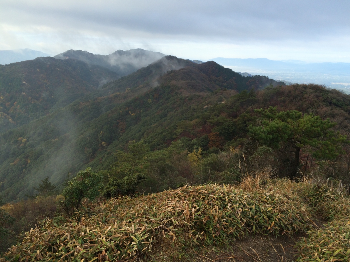 f:id:jkondo:20151103081038j:plain f:id:jkondo:20151103081038j:plain
