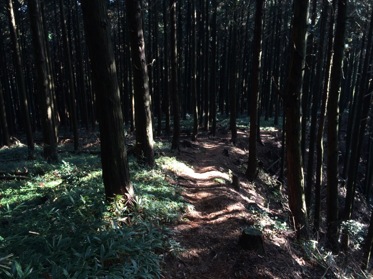 f:id:jkondo:20151103083841j:plain f:id:jkondo:20151103083841j:plain
