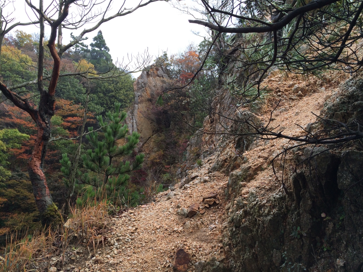 f:id:jkondo:20151103094201j:plain f:id:jkondo:20151103094201j:plain
