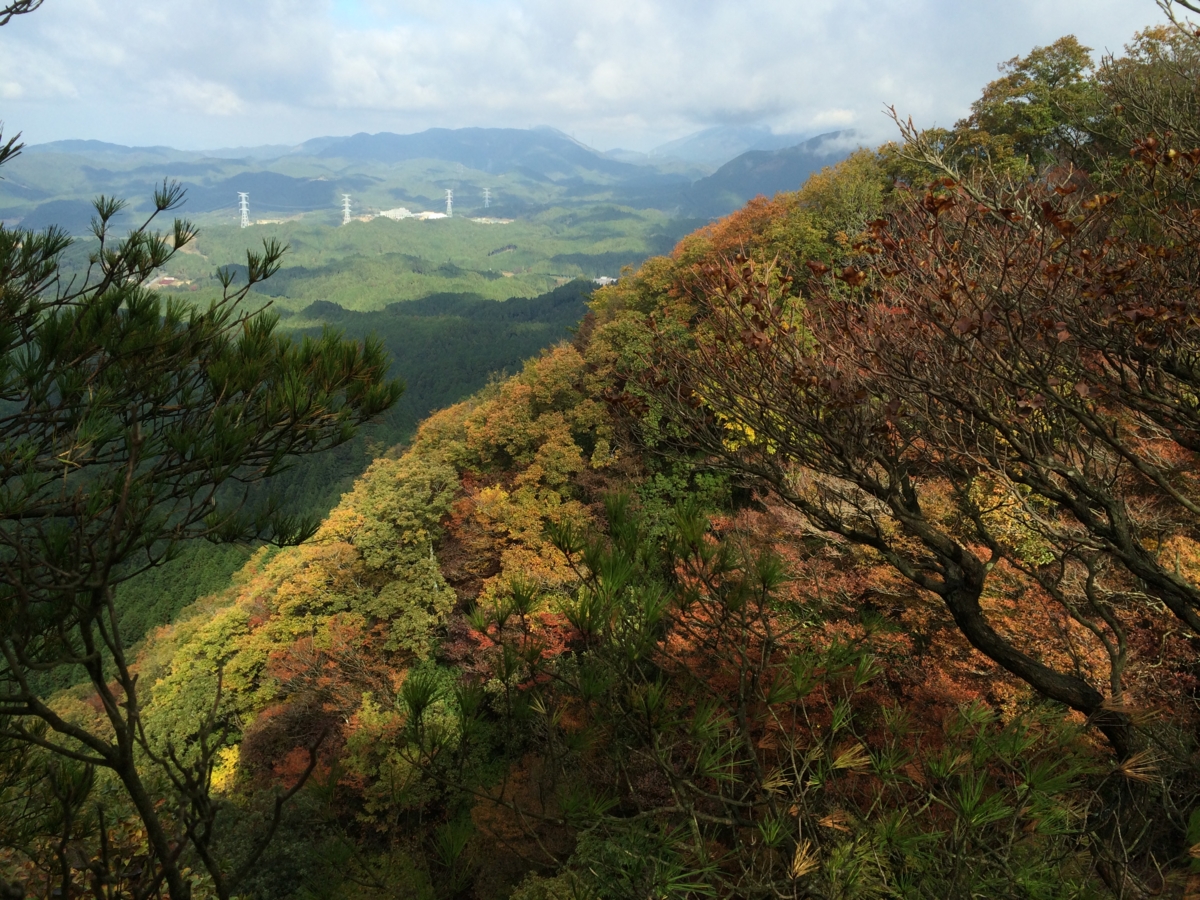f:id:jkondo:20151103094219j:plain f:id:jkondo:20151103094219j:plain