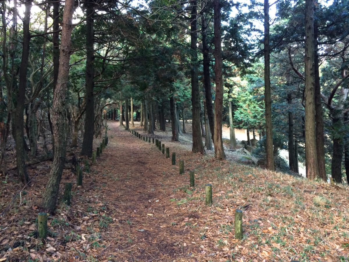 f:id:jkondo:20151103111552j:plain f:id:jkondo:20151103111552j:plain