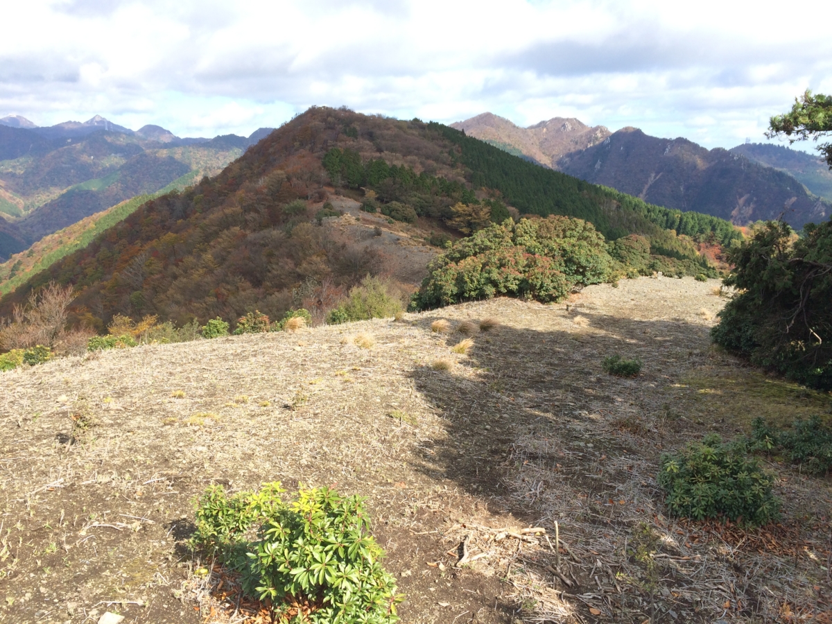 f:id:jkondo:20151103122137j:plain f:id:jkondo:20151103122137j:plain