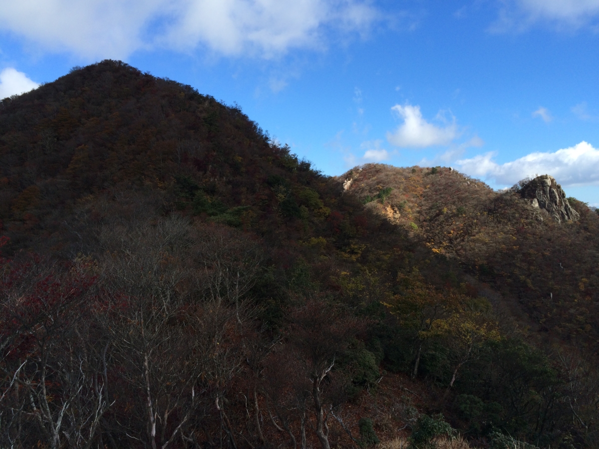 f:id:jkondo:20151103125900j:plain f:id:jkondo:20151103125900j:plain