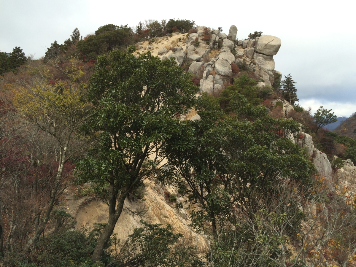 f:id:jkondo:20151103134053j:plain f:id:jkondo:20151103134053j:plain
