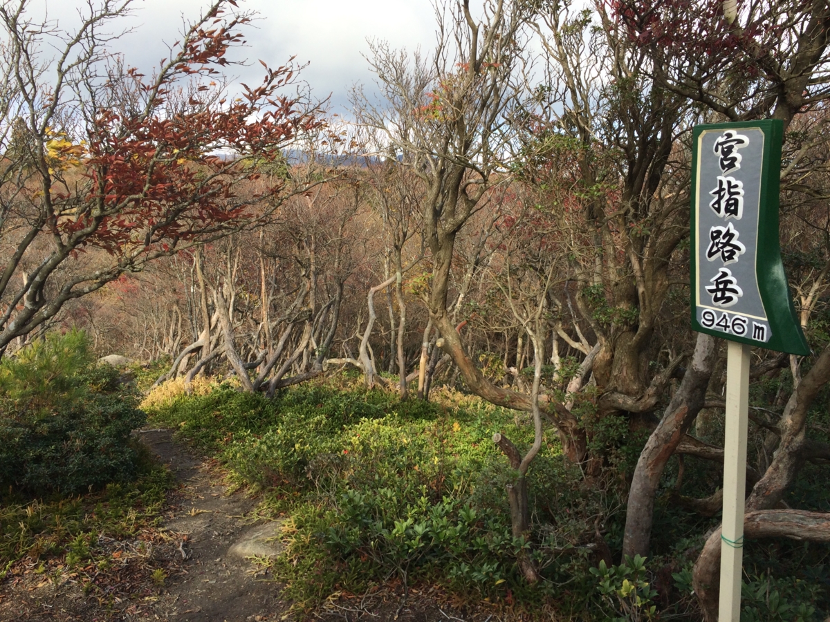 f:id:jkondo:20151103135905j:plain f:id:jkondo:20151103135905j:plain