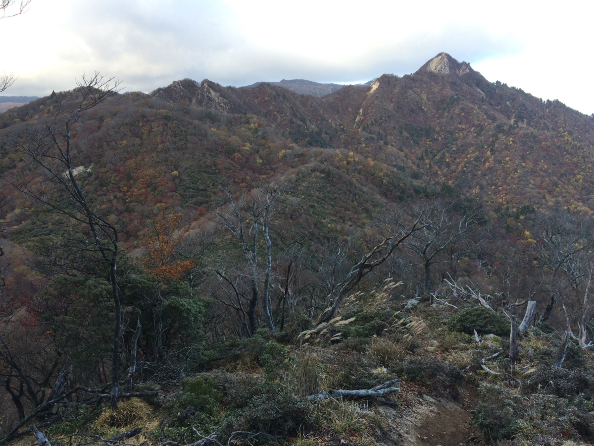 f:id:jkondo:20151103150855j:plain f:id:jkondo:20151103150855j:plain